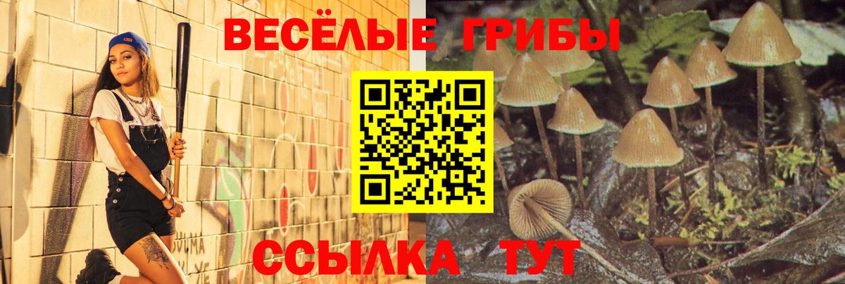 Назрань  купить  сайты  Псилоцибиновые грибы Magic Shrooms  Вход с VPN  Псилоцибиновые грибы Cubensis 