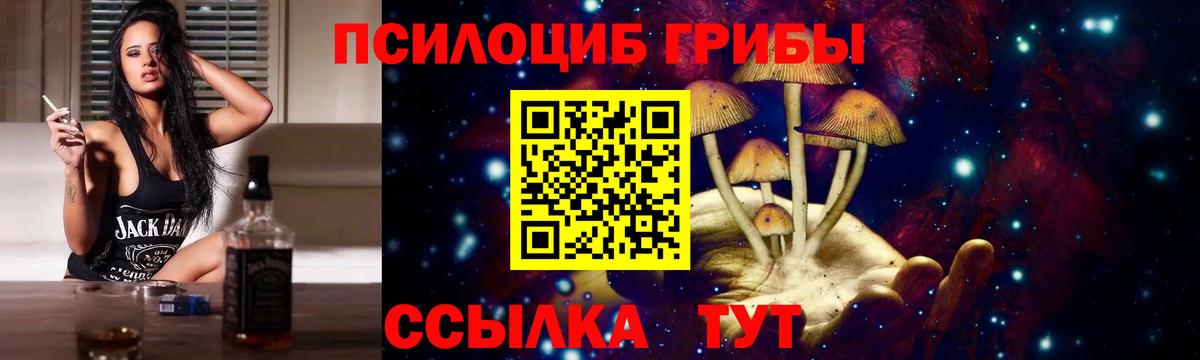Псилоцибиновые грибы Psilocybe Назрань